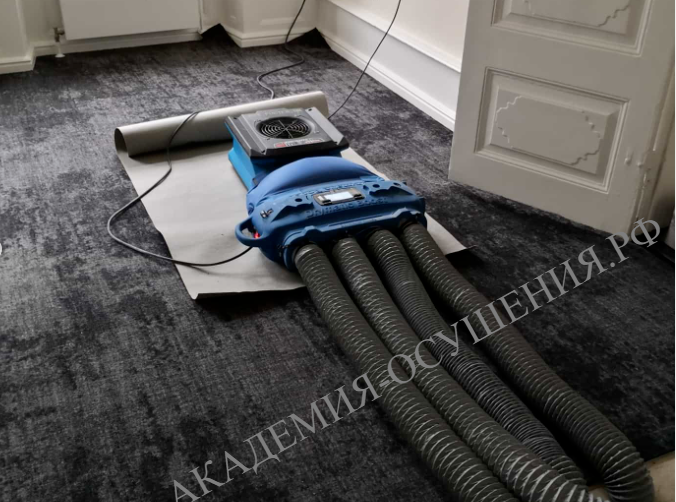 Оборудование для экспресс-сушки